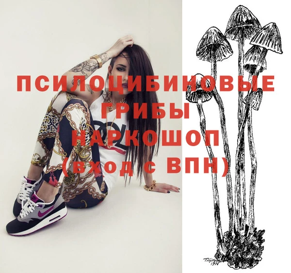 экстази Богородицк