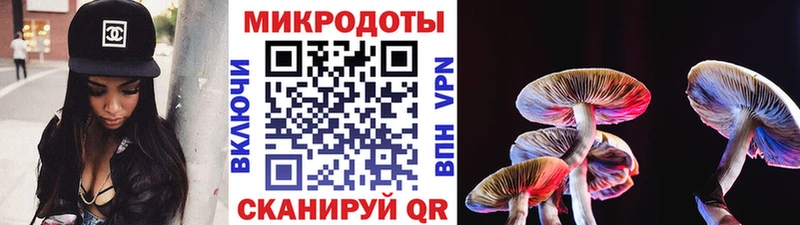 Псилоцибиновые грибы мицелий  купить закладку  Воронеж 