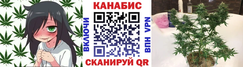 гидра маркетплейс  Воронеж  Каннабис гибрид 